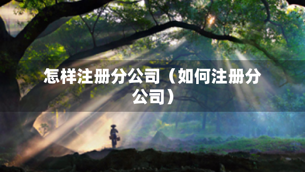 怎樣注冊分公司（如何注冊分公司）