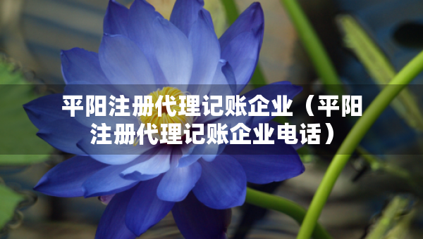 平陽(yáng)注冊(cè)代理記賬企業(yè)（平陽(yáng)注冊(cè)代理記賬企業(yè)電話）