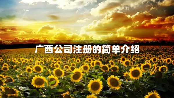 廣西公司注冊(cè)的簡(jiǎn)單介紹