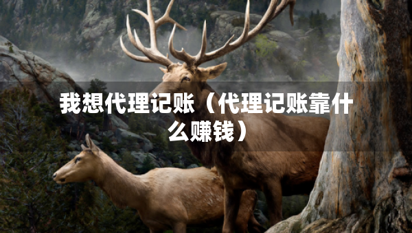 我想代理記賬（代理記賬靠什么賺錢(qián)）