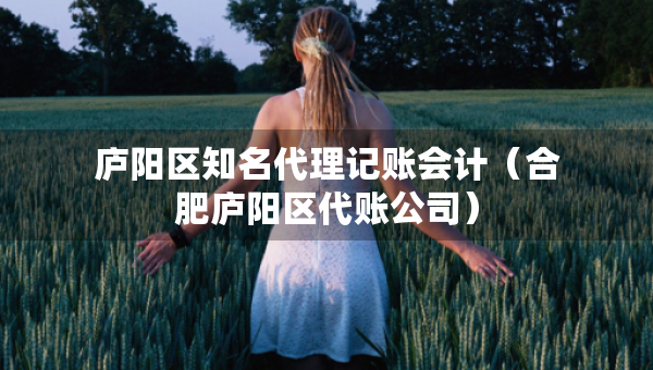 廬陽區(qū)知名代理記賬會計（合肥廬陽區(qū)代賬公司）