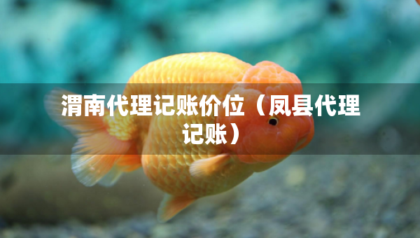 渭南代理記賬價位（鳳縣代理記賬）