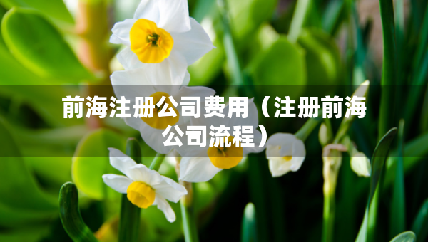 前海注冊(cè)公司費(fèi)用（注冊(cè)前海公司流程）