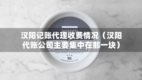 漢陽(yáng)記賬代理收費(fèi)情況（漢陽(yáng)代賬公司主要集中在那一塊）