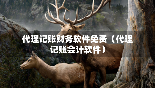 代理記賬財務(wù)軟件免費(fèi)（代理記賬會計軟件）