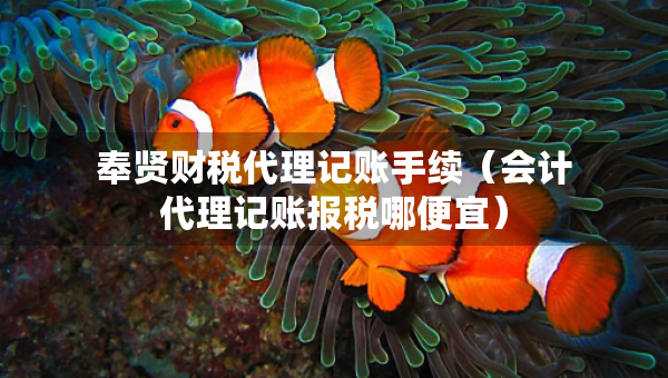 奉賢財(cái)稅代理記賬手續(xù)（會(huì)計(jì)代理記賬報(bào)稅哪便宜）