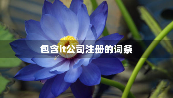 包含it公司注冊的詞條