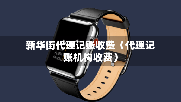 新華街代理記賬收費（代理記賬機構收費）