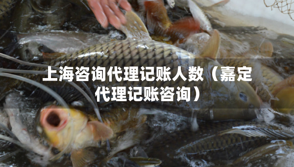 上海咨詢代理記賬人數(shù)（嘉定代理記賬咨詢）
