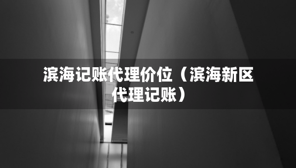 濱海記賬代理價位（濱海新區(qū)代理記賬）