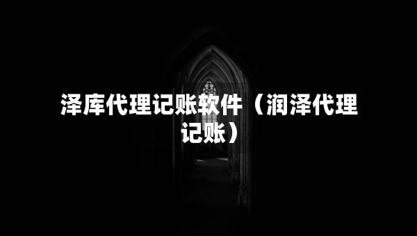 澤庫代理記賬軟件（潤澤代理記賬）