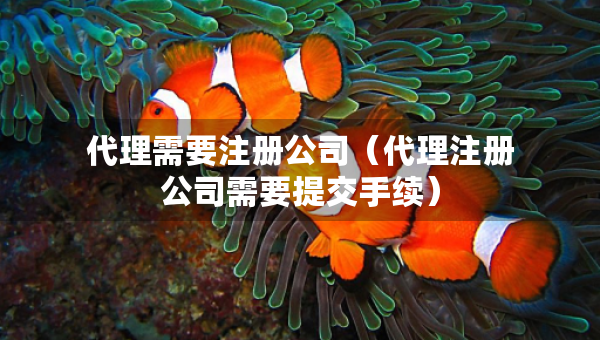 代理需要注冊(cè)公司（代理注冊(cè)公司需要提交手續(xù)）