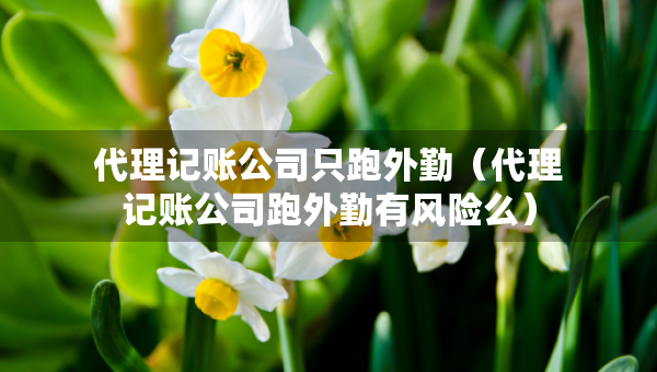 代理記賬公司只跑外勤（代理記賬公司跑外勤有風(fēng)險么）