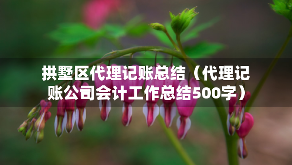 拱墅區(qū)代理記賬總結(jié)（代理記賬公司會計工作總結(jié)500字）