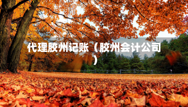 代理膠州記賬（膠州會計公司）