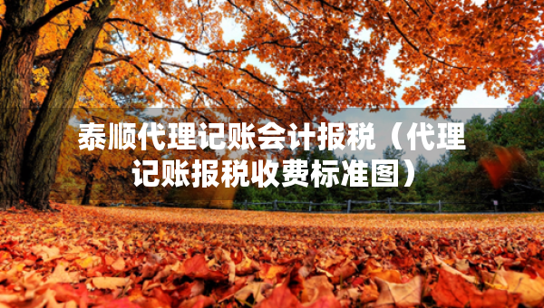 泰順代理記賬會計(jì)報(bào)稅（代理記賬報(bào)稅收費(fèi)標(biāo)準(zhǔn)圖）