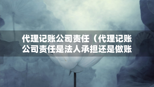 代理記賬公司責(zé)任（代理記賬公司責(zé)任是法人承擔(dān)還是做賬人員）