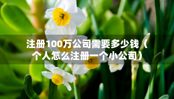 注冊100萬公司需要多少錢（個人怎么注冊一個小公司）