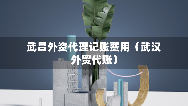 武昌外資代理記賬費(fèi)用（武漢外貿(mào)代賬）