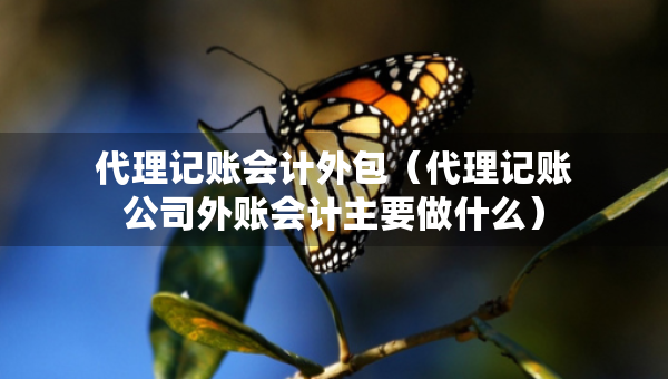 代理記賬會(huì)計(jì)外包（代理記賬公司外賬會(huì)計(jì)主要做什么）