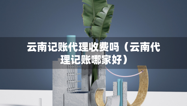 云南記賬代理收費(fèi)嗎（云南代理記賬哪家好）