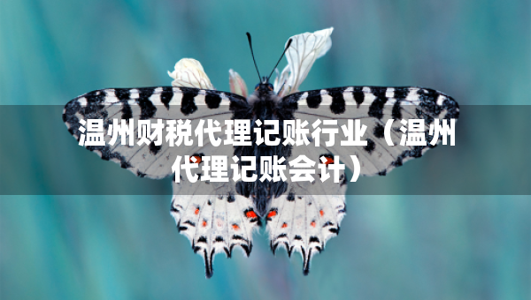 溫州財稅代理記賬行業(yè)（溫州代理記賬會計）