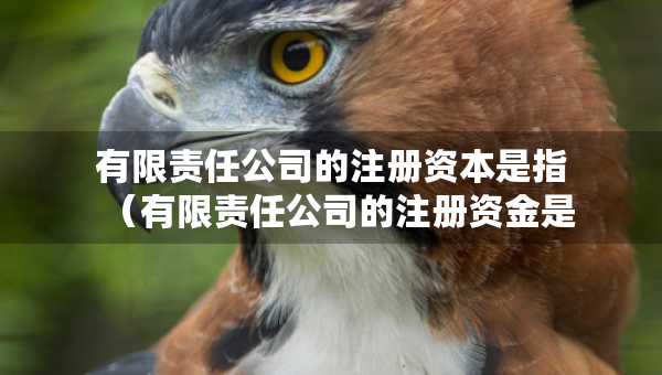 有限責(zé)任公司的注冊資本是指（有限責(zé)任公司的注冊資金是什么意思）