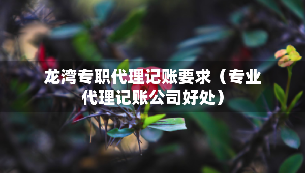 龍灣專職代理記賬要求（專業(yè)代理記賬公司好處）