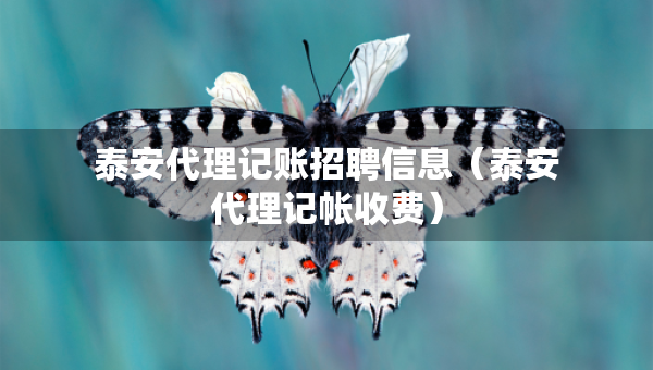 泰安代理記賬招聘信息（泰安代理記帳收費(fèi)）