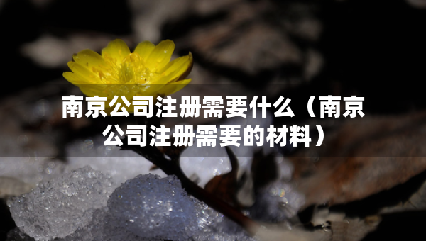 南京公司注冊需要什么（南京公司注冊需要的材料）
