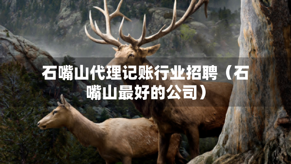 石嘴山代理記賬行業(yè)招聘（石嘴山最好的公司）