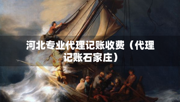 河北專業(yè)代理記賬收費(fèi)（代理記賬石家莊）