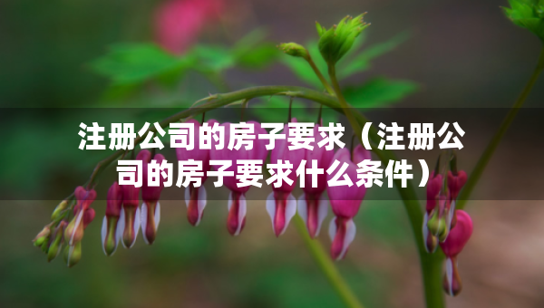 注冊公司的房子要求（注冊公司的房子要求什么條件）