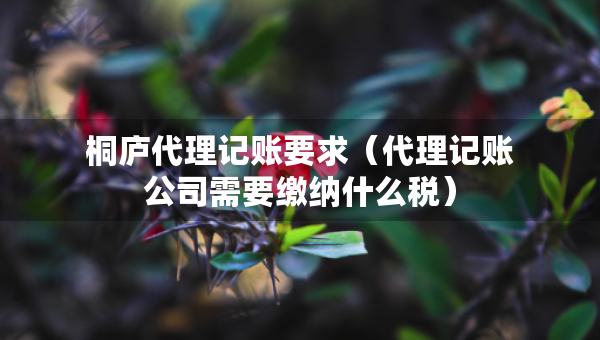 桐廬代理記賬要求（代理記賬公司需要繳納什么稅）