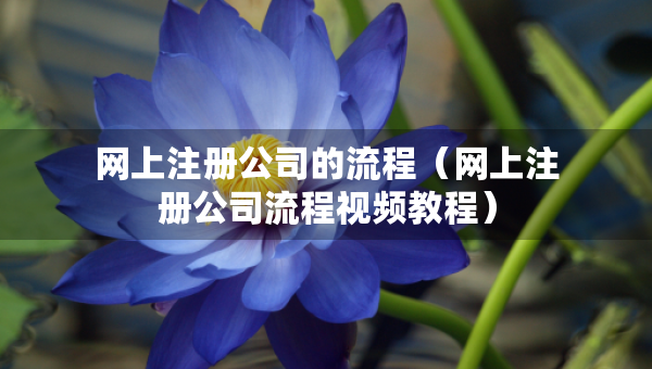 網(wǎng)上注冊公司的流程（網(wǎng)上注冊公司流程視頻教程）
