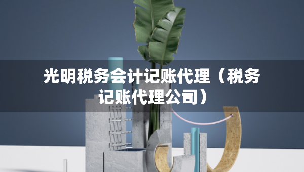 光明稅務會計記賬代理（稅務記賬代理公司）