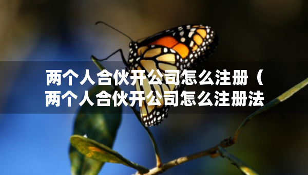 兩個(gè)人合伙開公司怎么注冊（兩個(gè)人合伙開公司怎么注冊法人代表）
