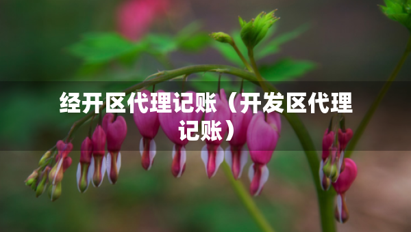 經(jīng)開區(qū)代理記賬（開發(fā)區(qū)代理記賬）