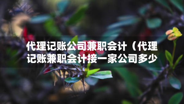 代理記賬公司兼職會計（代理記賬兼職會計接一家公司多少錢）