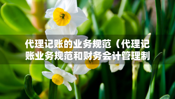 代理記賬的業(yè)務(wù)規(guī)范（代理記賬業(yè)務(wù)規(guī)范和財(cái)務(wù)會(huì)計(jì)管理制度四啥改成三啥）