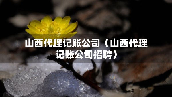 山西代理記賬公司（山西代理記賬公司招聘）