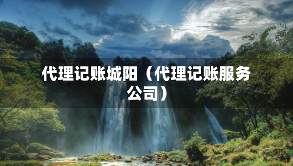 代理記賬城陽（代理記賬服務公司）