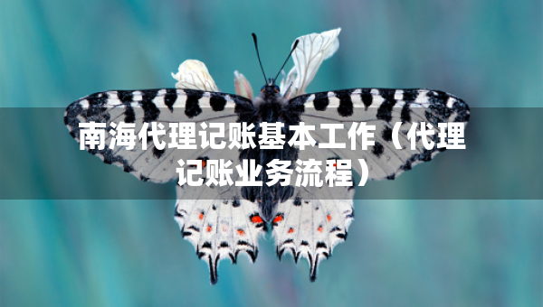 南海代理記賬基本工作（代理記賬業(yè)務(wù)流程）