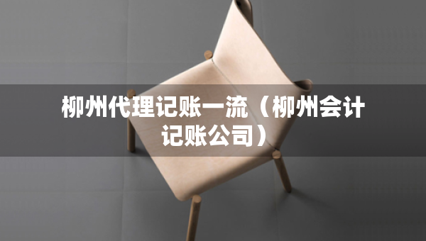 柳州代理記賬一流（柳州會計記賬公司）