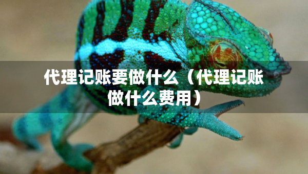 代理記賬要做什么（代理記賬做什么費用）
