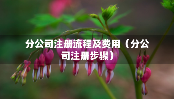 分公司注冊(cè)流程及費(fèi)用（分公司注冊(cè)步驟）