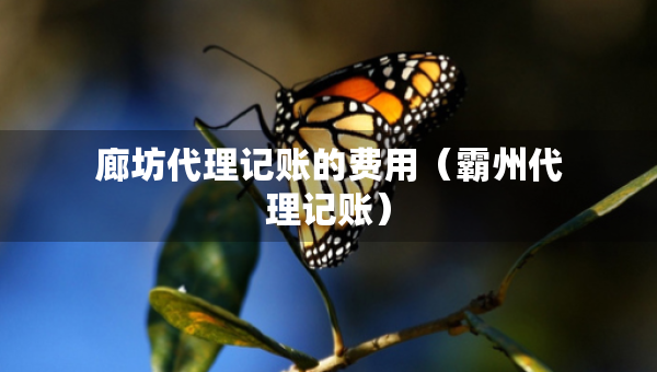 廊坊代理記賬的費(fèi)用（霸州代理記賬）
