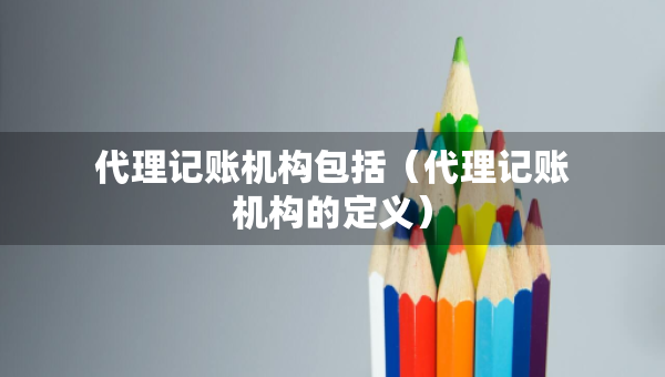代理記賬機構(gòu)包括（代理記賬機構(gòu)的定義）
