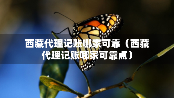 西藏代理記賬哪家可靠（西藏代理記賬哪家可靠點）