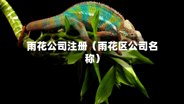 雨花公司注冊（雨花區(qū)公司名稱）
